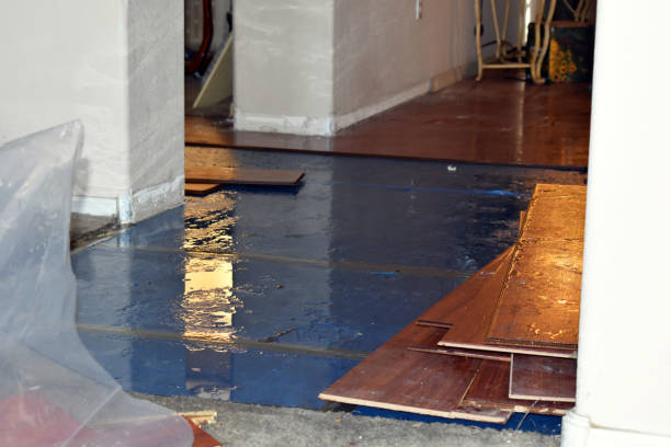 Professional Burst Pipe Cleanup technician working in Whitsett, TX